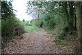 Footpath to Forest Rd in TN2 5HG
