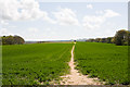 Footpath towards Bere Farm in PO17 5BD