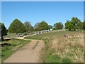 A busy path in Richmond Park in KT2 7JR
