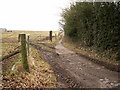 Bridleway from Cofton Church Lane in B45 8PN