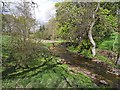 River Wansbeck at Kirkwhelpington in NE19 2RY