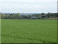 2009 : Hay field near Heywood Farm in SN14 6LS