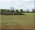 2009 : Heap of fertiliser near Down Farm in SN14 6LS