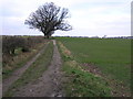 Bridleway To Owday Wood in S81 7RZ