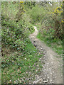 Minor track through Haugh Wood in HR1 4LT