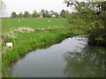 The Great Stour near Worten in TN23 3BT