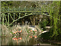 Railway bridge and flamingos in TA20 4DD