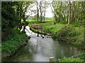 Looking upstream on the Great Stour in TN23 3BT