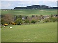 Distant view of Kirkwhelpington village in NE19 2RY