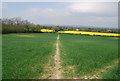 Weald Way heading towards Upper Haysden Lane in TN11 8AA