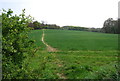 Weald Way from Upper Haysden Lane in TN11 8AA