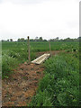 Plank bridge over ditch in NR10 4RW