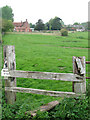 Cattle pasture by Old Hall Farm in NR10 4RY