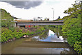 The River Taff , north of the old Ynys Bridge in CF15 8LB