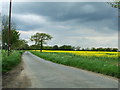 Country Road in IP13 9NX