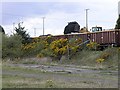 Coal being loaded onto a waiting train in Gwaun-Cae-Gurwen Community