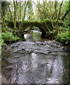 Forgotten foot bridge near Reynalton in SA68 0NL