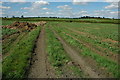 Footpath and track near Cowsden Farm in WR7 4NY