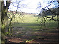 Hemel Hempstead: Long Deans Nature Reserve in HP3 8RX