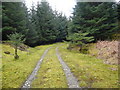 Forestry track, Strome Carronach. in IV54 8YH
