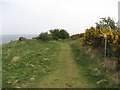 Path, Hawkcraig Point in KY3 0TJ