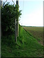 Footpath And Hedge in West Suffolk District
