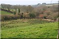 Valley Bottom south of Trethiggy Farm in TR8 4PJ