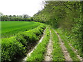 Looking SW along the Stour Valley Walk in TN26 1EX
