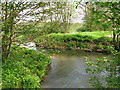 Looking downstream along the Great Stour in TN26 1EX