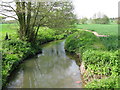 Looking upstream along the Great Stour in TN26 1EX
