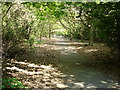 Path through Martlesham Heath airfield in IP5 2EB
