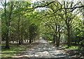 Path through Martlesham Heath airfield in Martlesham
