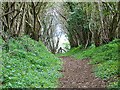 Footpath near Breamore in SP6 2BU