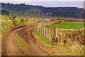 Track from North Whitehills, Forfar to Hatton of Carse in DD8 3NL