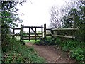 Gate, Long Steeple Lane in SP6 3PU
