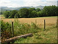 Distant Brecon Beacons from lane near Llanfrynach in LD3 7AQ