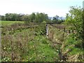 Stream about to join the Kilmahew Burn in G82 5EY