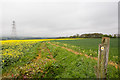 Footpath east of Whitedell Farm in PO17 6NA
