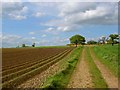 Footpath to Royd Moor Dairy Farm in WF9 1BA