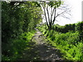 Metalled bridleway approaching Barns Green in RH13 0PS
