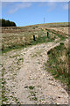 Track to mast on Cnoc Lochy in AB37 9HD