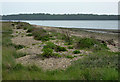 Shoreline and River Stour estuary in IP9 1BW