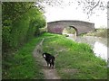 Aylesbury Arm: Approaching Bridge 12 in HP22 7DE