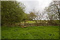 Stile and footbridge at southern edge of Carmans Copse in PO17 6DL