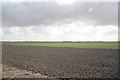 Fen fields Bourne Drove, Bourne Fen in Bourne East Ward