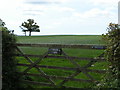 Trees in a field at Churchill Farm in EX5 2PA
