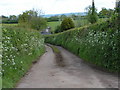 Lane outside Churchill Farm in EX5 2PA