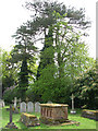 St Andrew's church - churchyard in Framingham Earl
