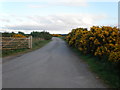 Whins bordering Road to Railway Bridge near Inverness Airport in Culloden and Ardersier Ward