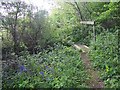 Footbridge near Fryern Court in SP6 3PL
